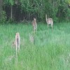 20250515_194350.jpeg