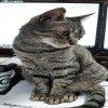 20250528_172240.jpeg