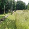 20250620_121421.jpeg