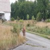20250707_153429.jpeg