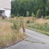 20250707_153431.jpeg