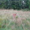 20250713_205702.jpeg